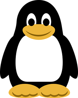 Simplified Cartoon Penguin Graphic PNG