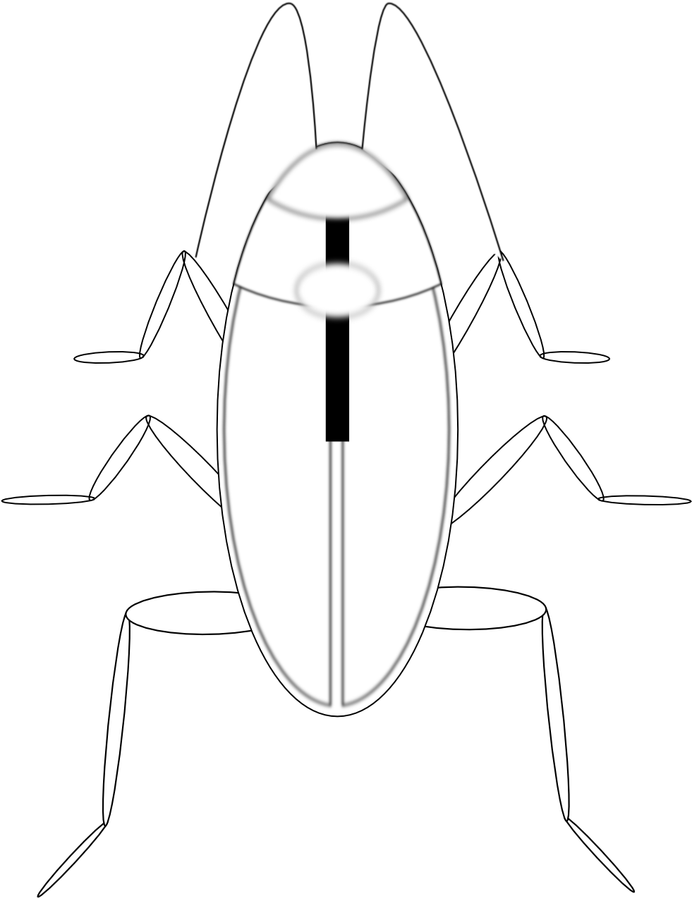 Simplified Cockroach Illustration PNG