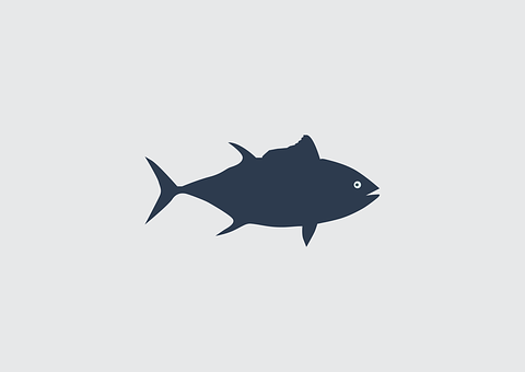 Simplified Fish Silhouette Graphic PNG