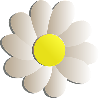 Simplified Graphic Daisy Flower PNG
