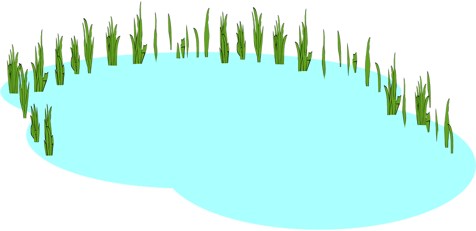 Simplified Lake Graphic PNG