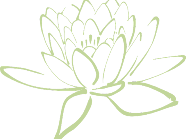 Simplified Lotus Outline PNG