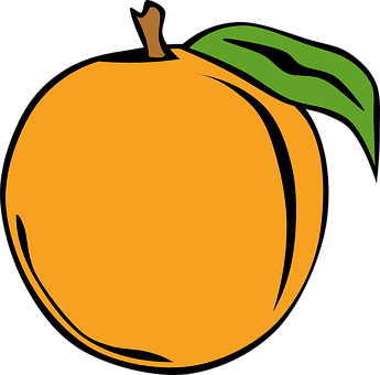 Simplified Orange Illustration PNG