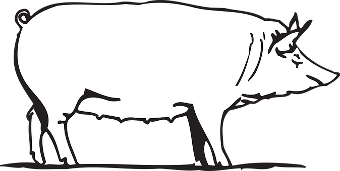 Simplified Pig Silhouette PNG