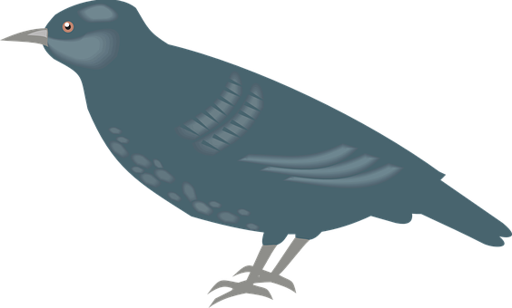 Simplified Pigeon Illustration PNG