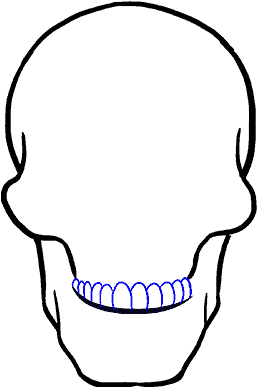 Simplified Skull Line Art PNG