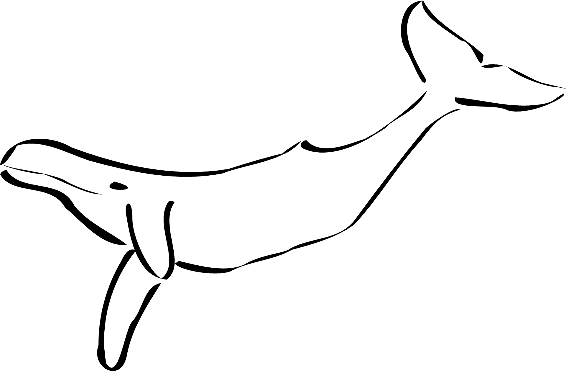 Simplified Whale Line Art PNG