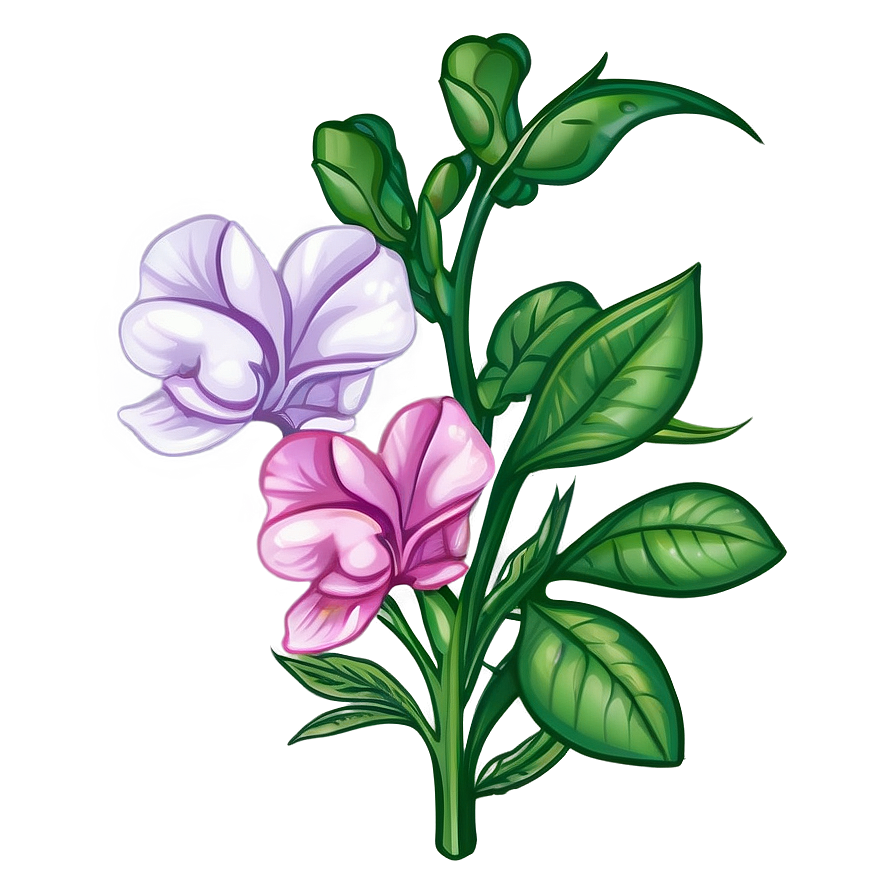 Sincere Sweet Pea Png 06202024 PNG