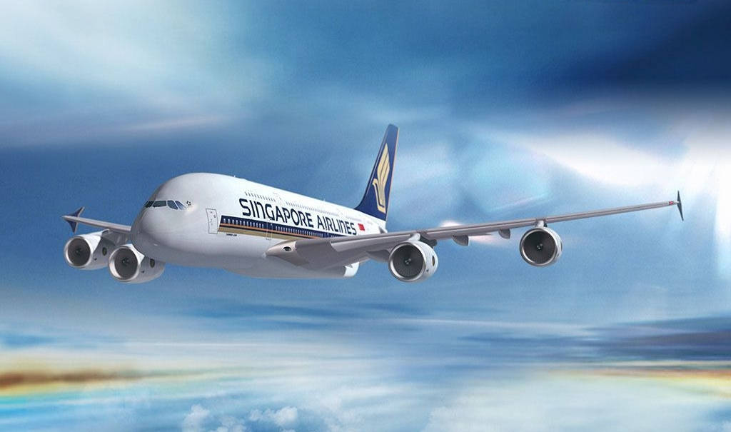 Singaporeairlines Volando En Un Avión Fondo de pantalla