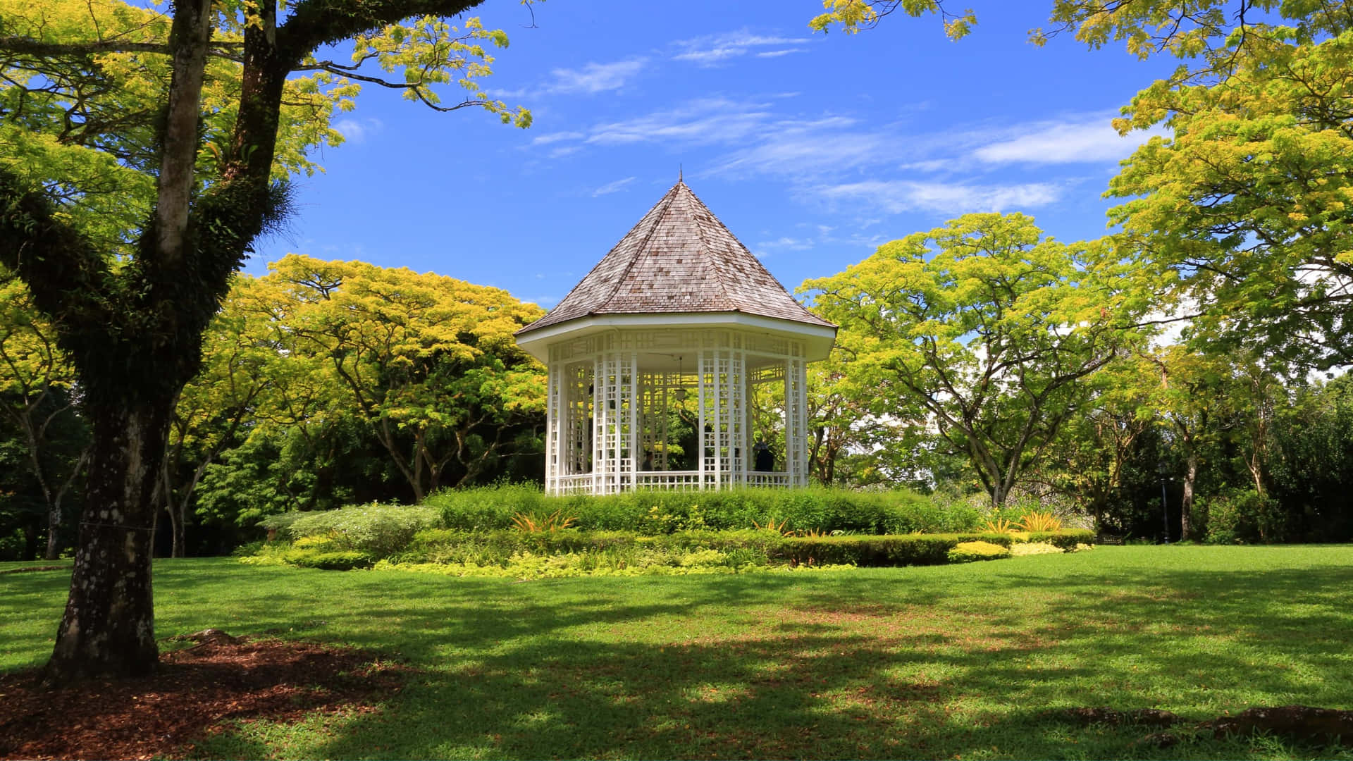 Jardin Botanique De Singapour Pavillon De La Bande Fond d'écran