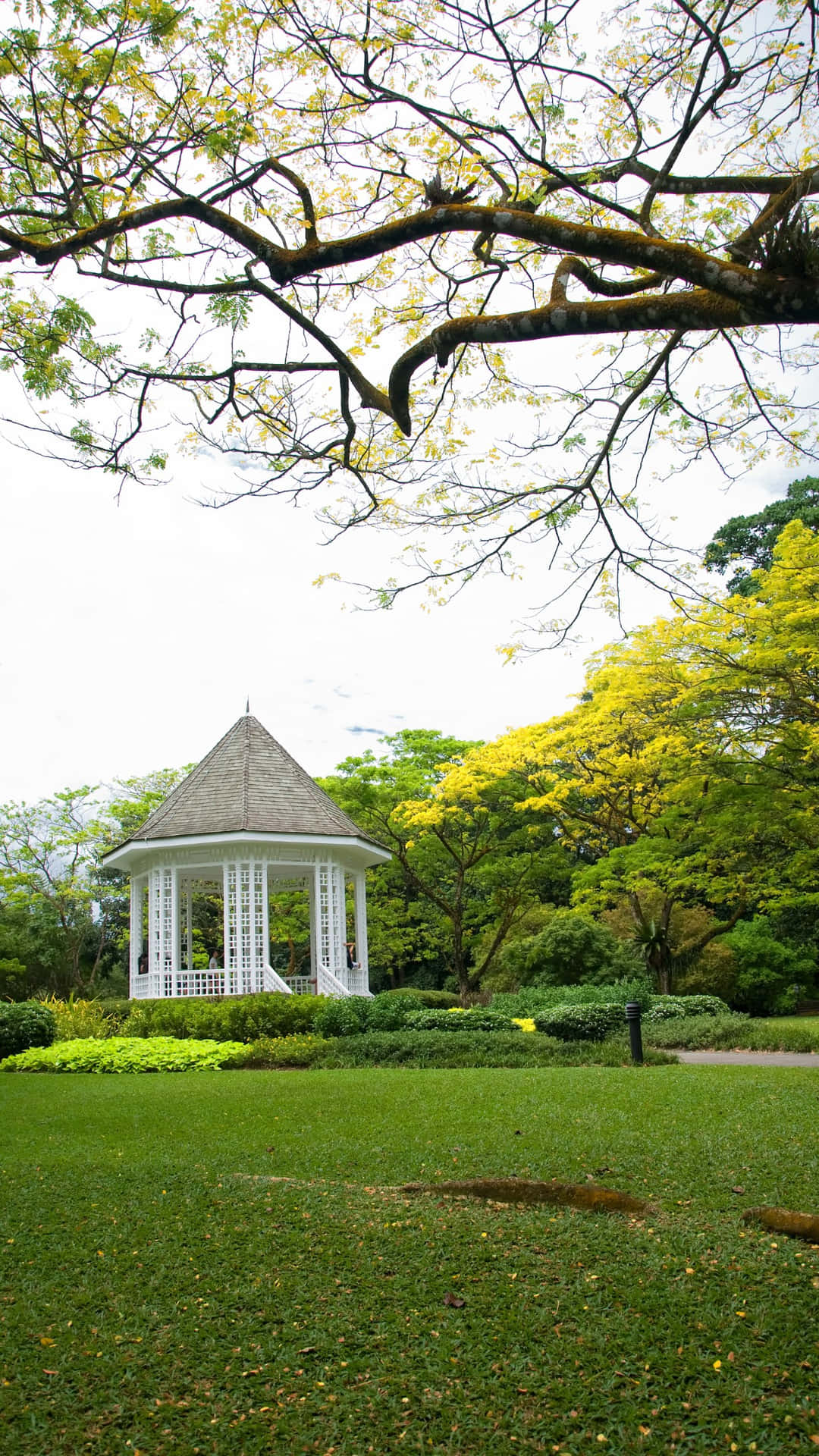 Singapore_ Botanic_ Gardens_ Bandstand_ Springtime Wallpaper