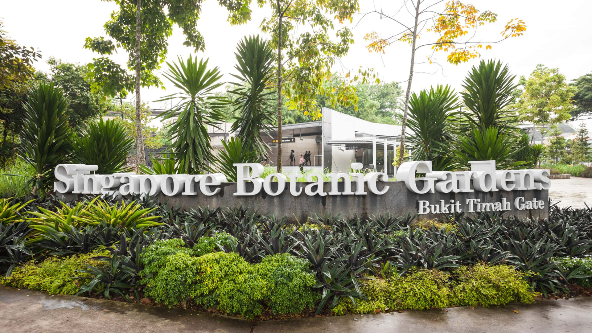 Singapore_ Botanic_ Gardens_ Entrance_ Signage Wallpaper