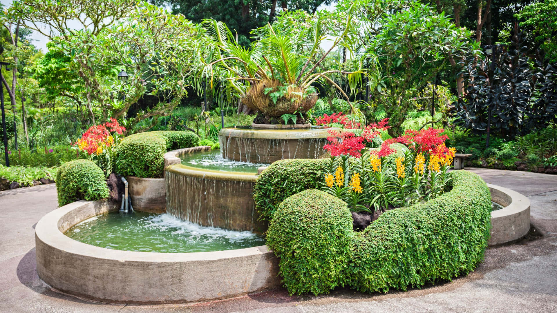 Fontaine Et Affichage Floral Des Jardins Botaniques De Singapour Fond d'écran