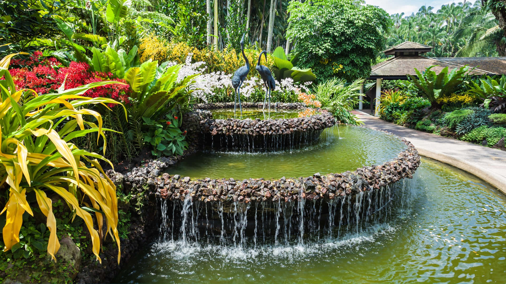 Singapore Botanic Gardens Fountain Scenery Wallpaper