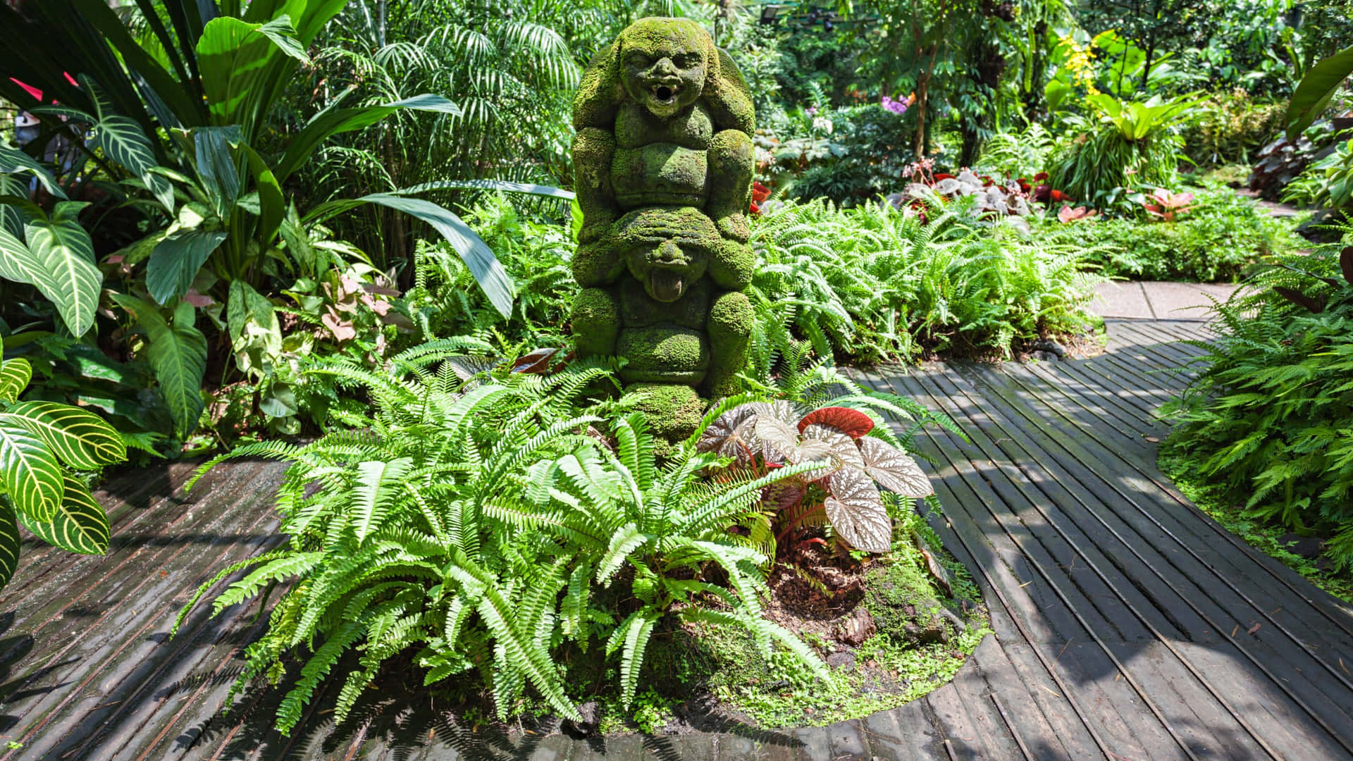 Jardin Botanique De Singapour Statue De Mousse Fond d'écran