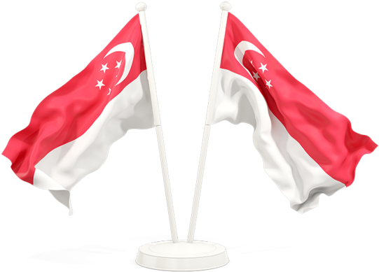 Singapore Flagson Stands PNG