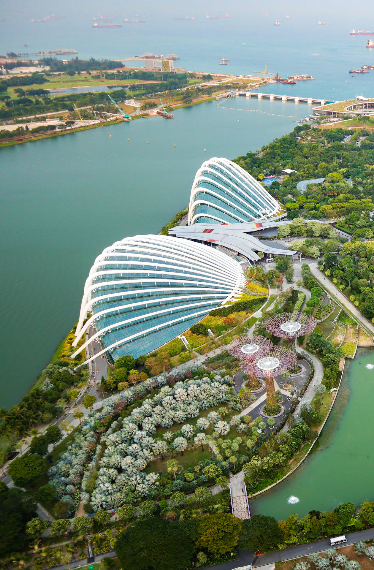 Singapore Flower Dome Aerial View
