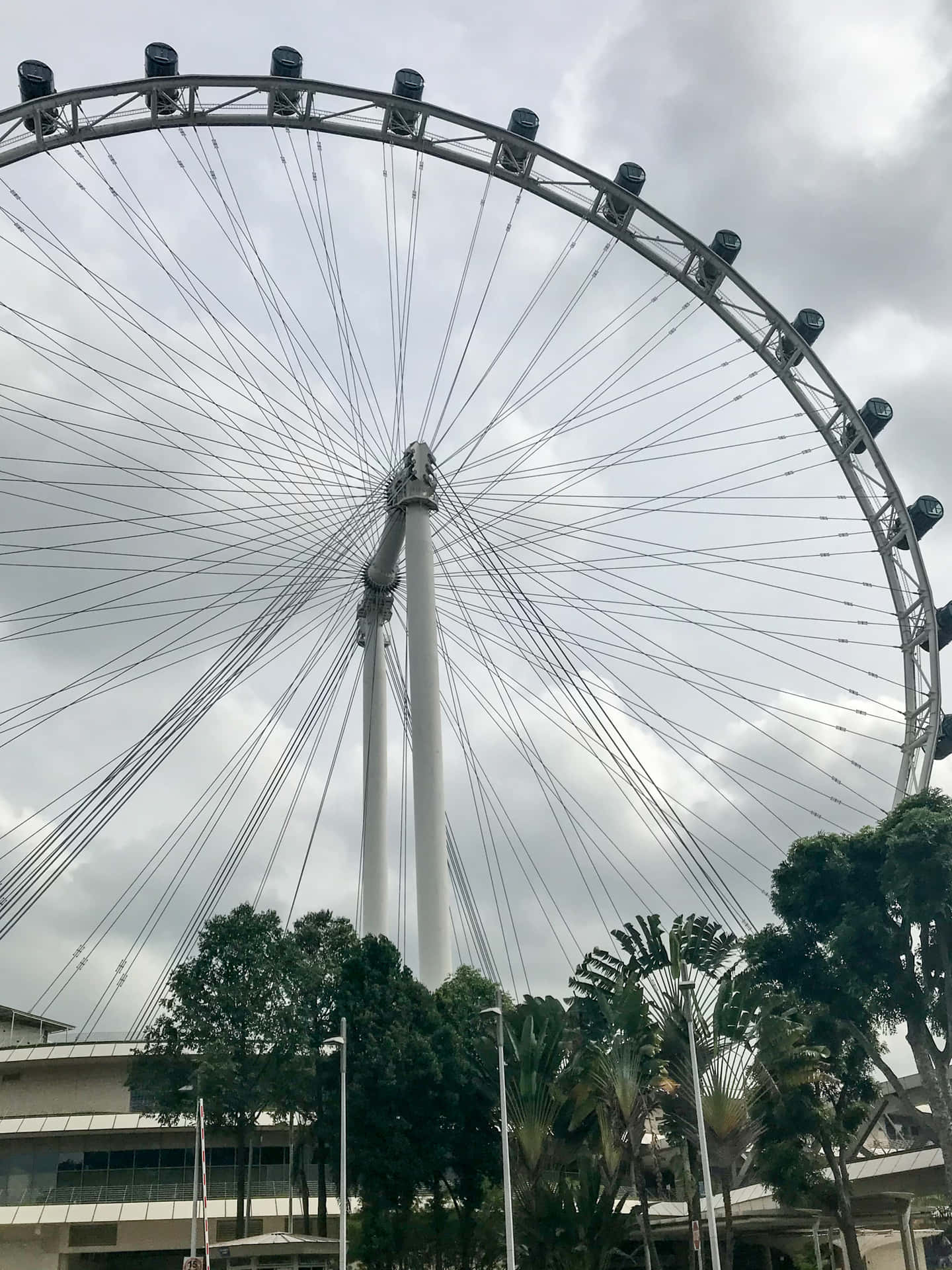 Singapore_ Flyer_ Giant_ Ferris_ Wheel.jpg Wallpaper