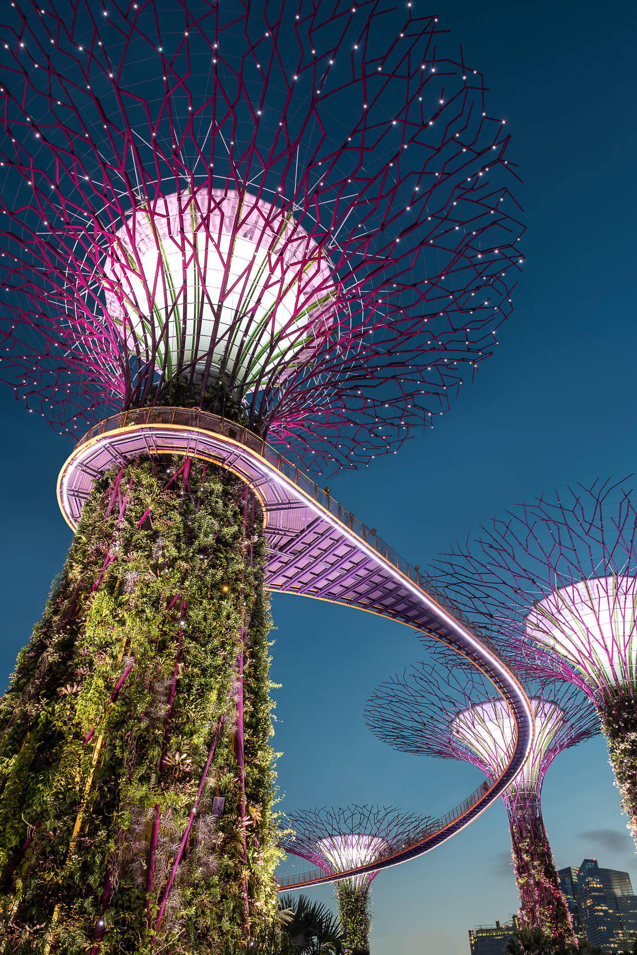Singapore Garden Supertrees