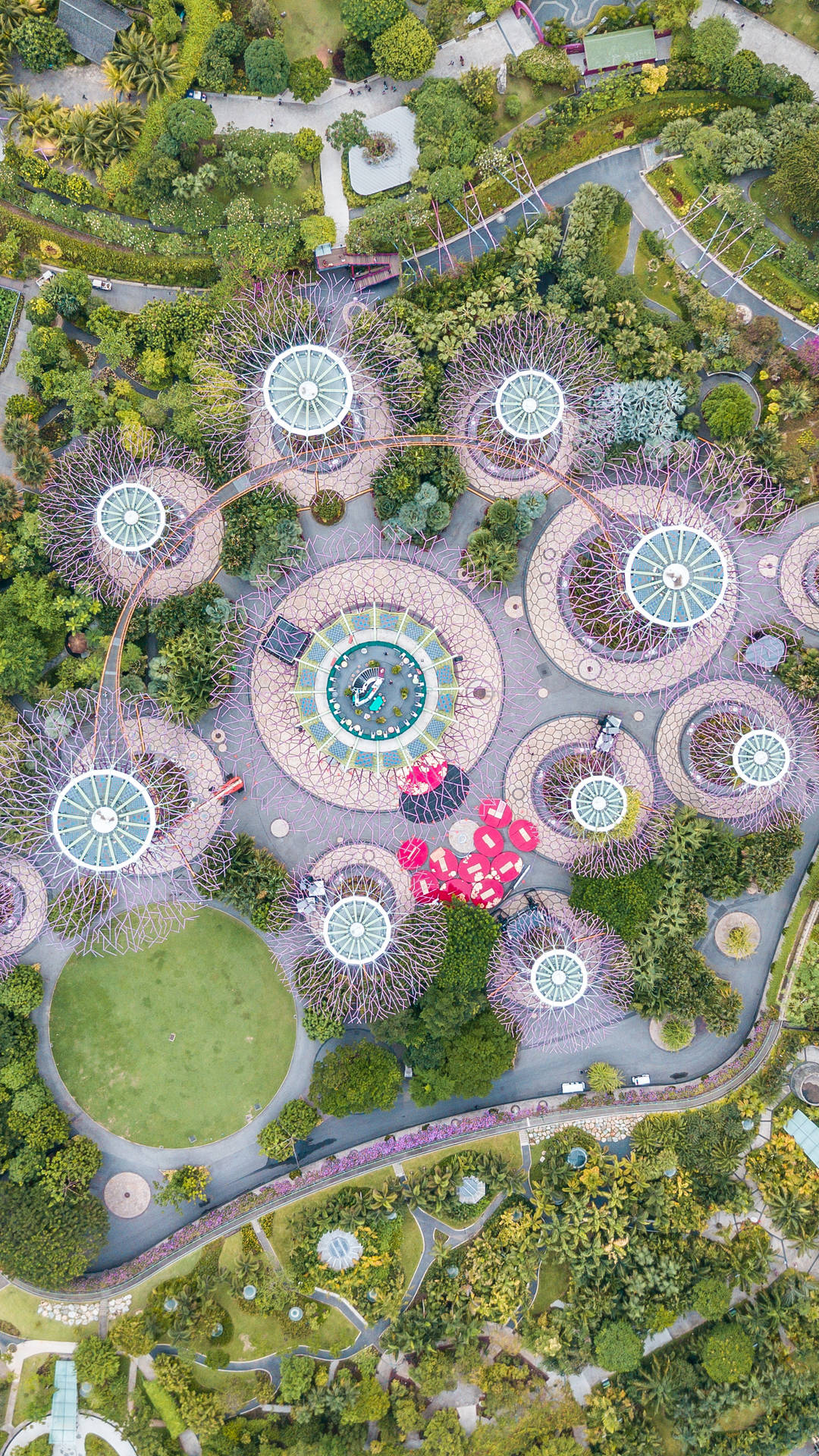 Singapore Gardens Aerial Shot