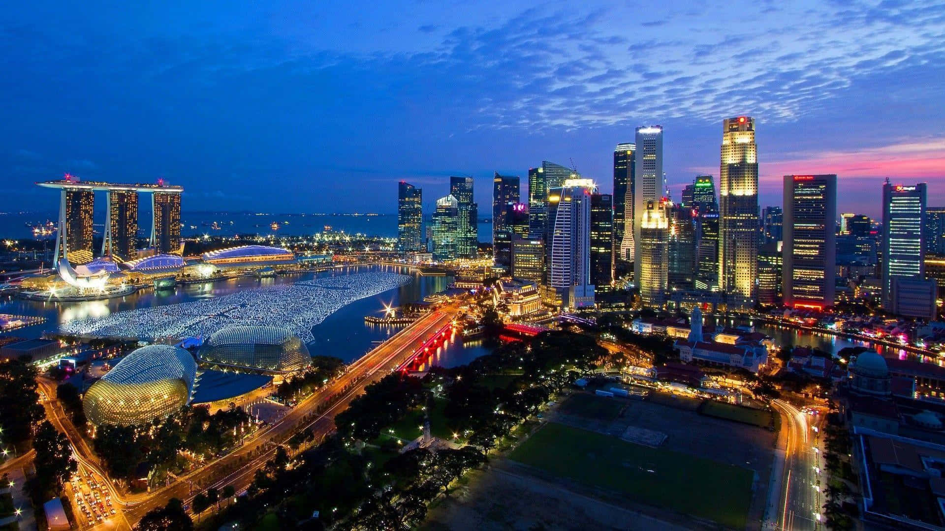 Byensskyline I Singapore Om Natten