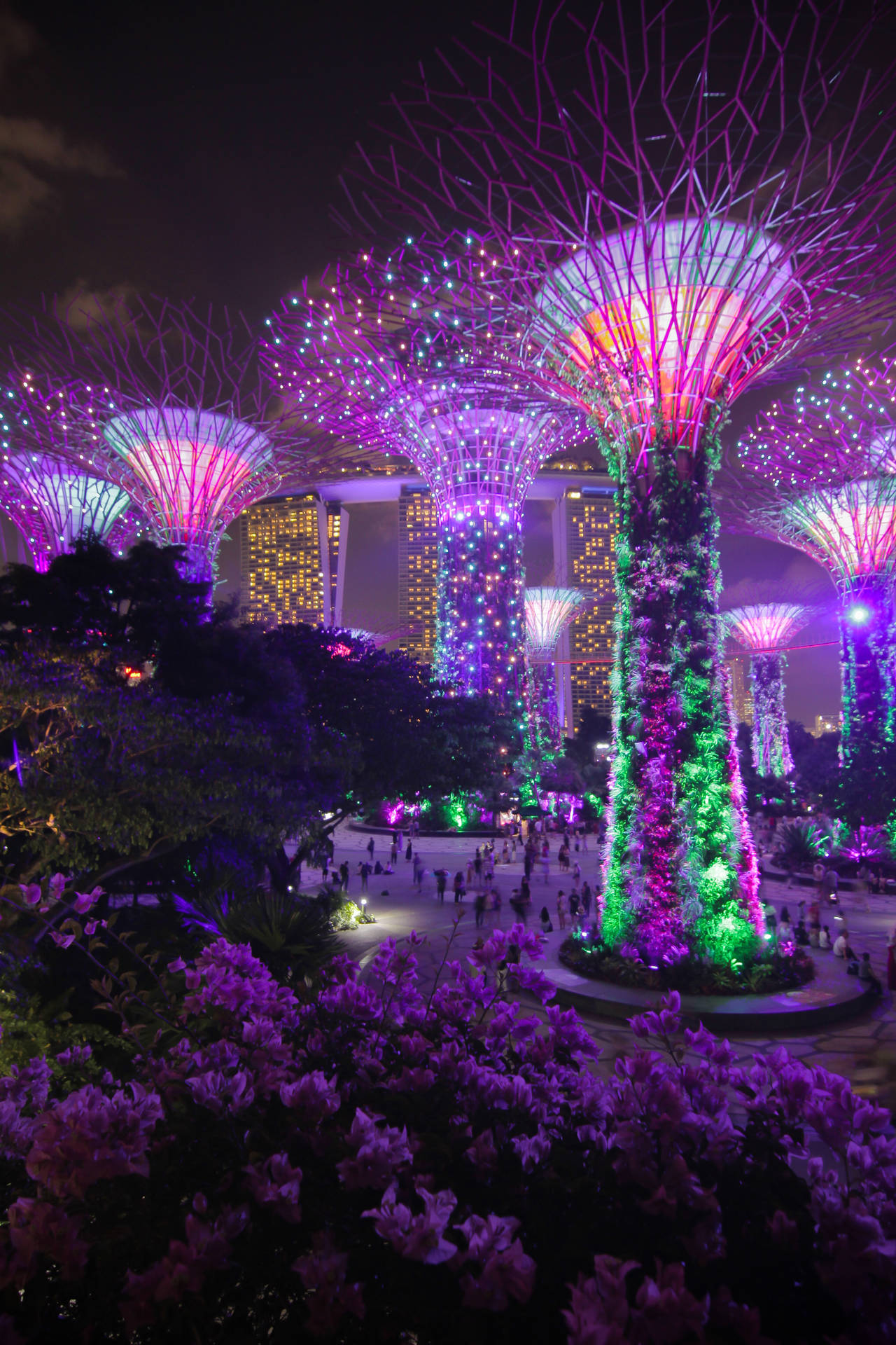 Singapore Purple Supertrees