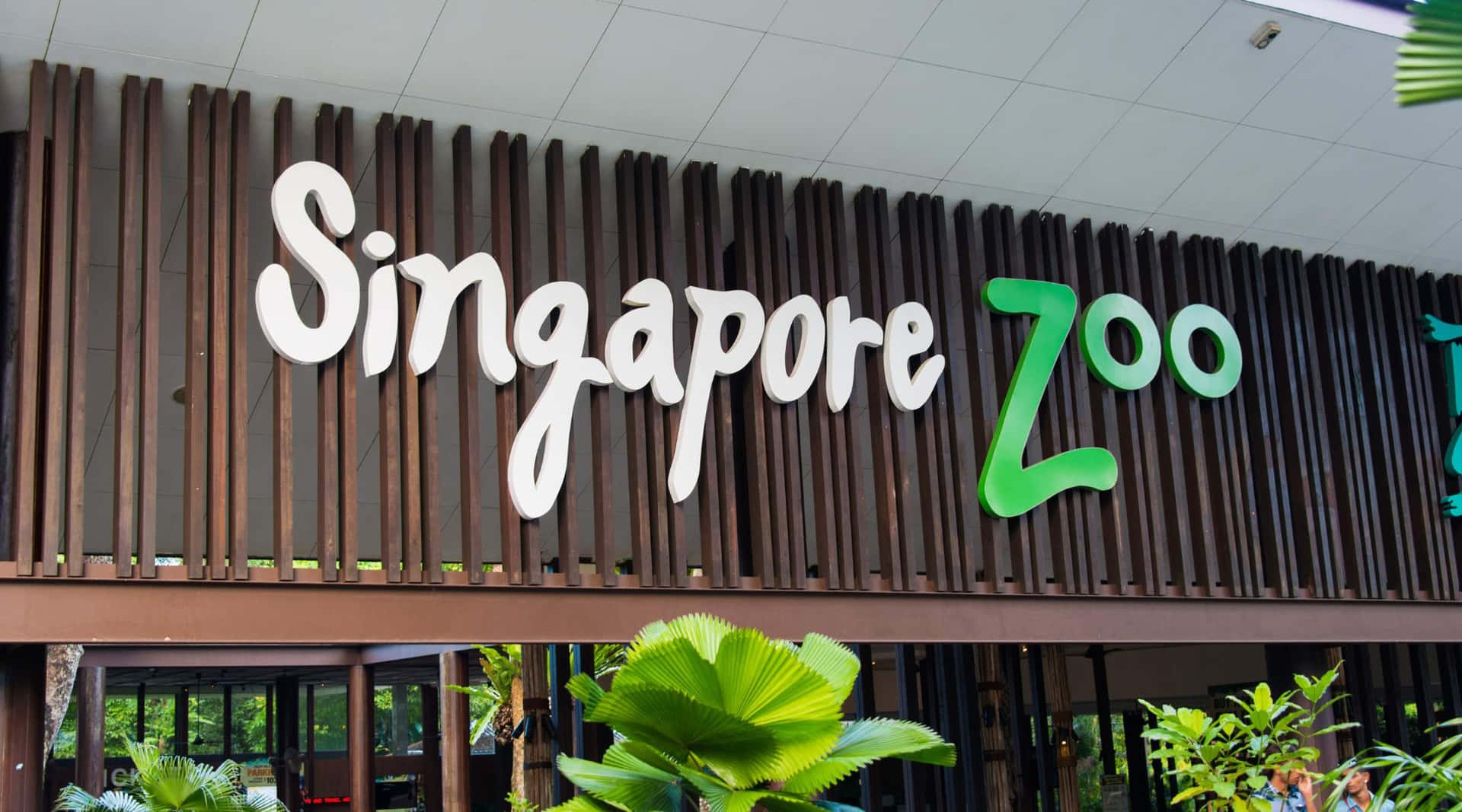 Singapore Zoo Entrance Signage Wallpaper