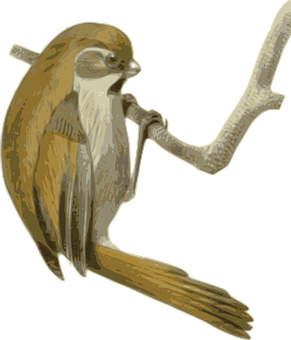 Singing Bird Illustration PNG