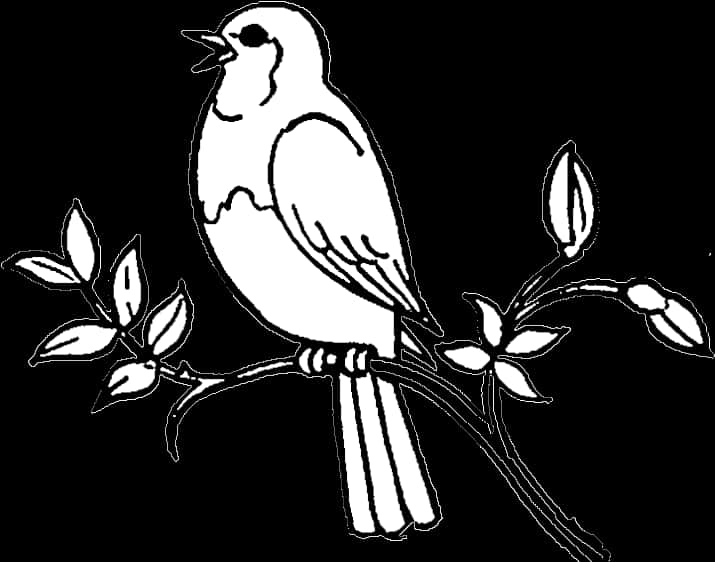 Singing Birdon Branch Silhouette PNG