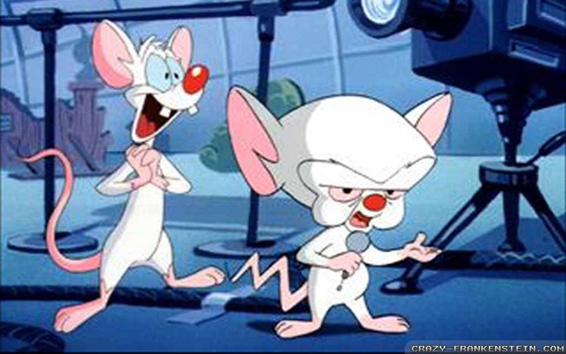 Singing Pinky And The Brain Wallpaper