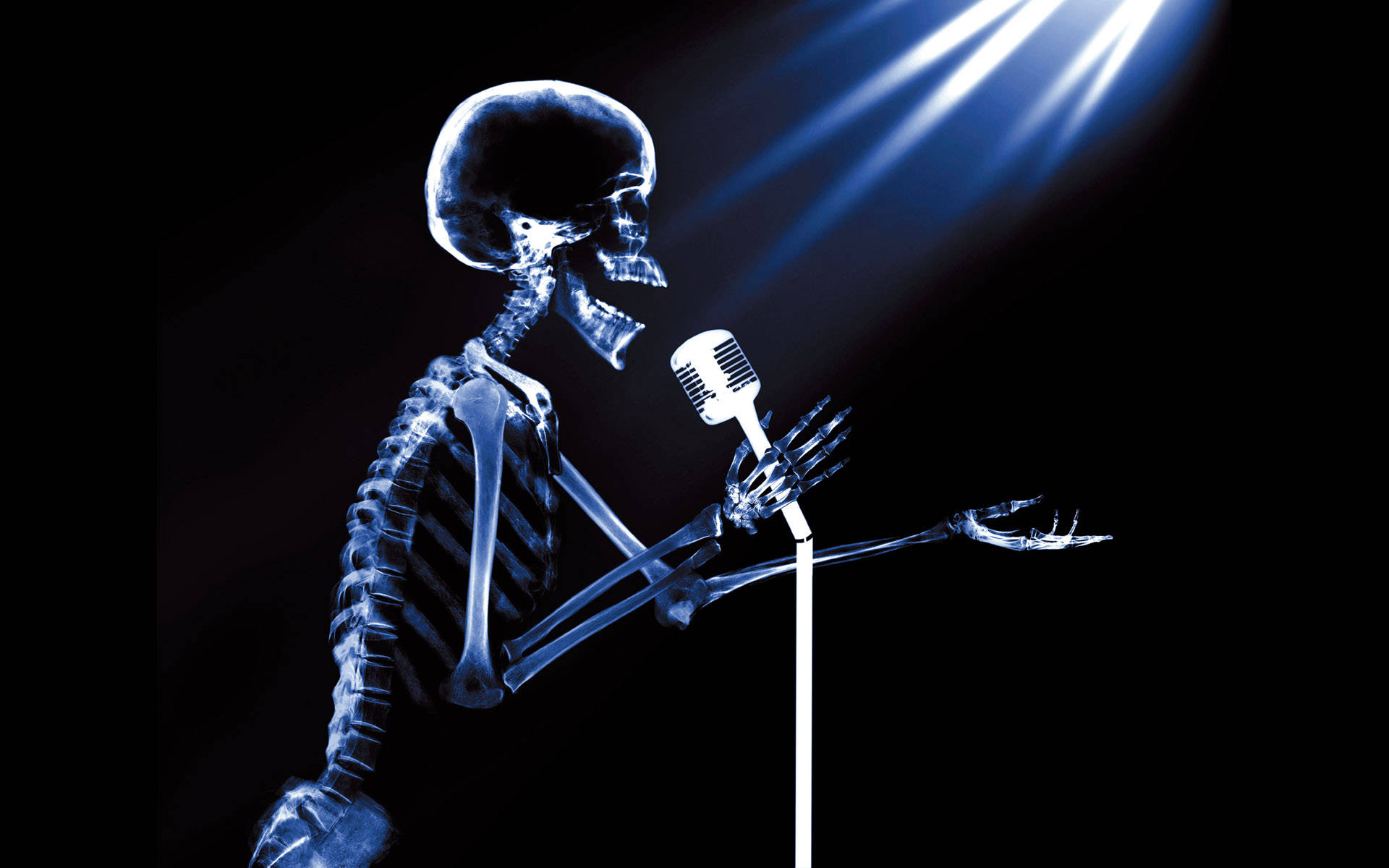 Singing Skeleton Meme Wallpaper