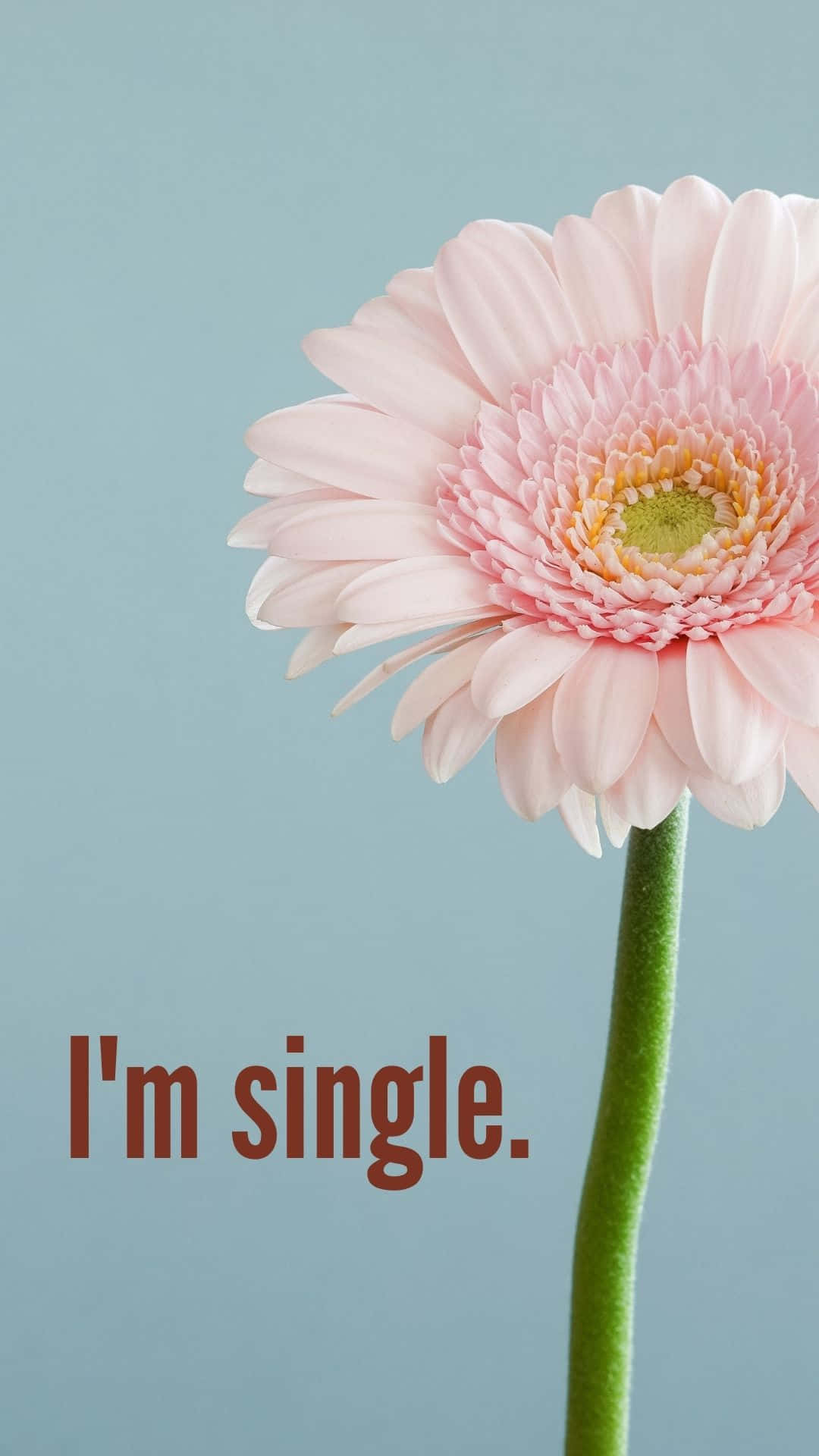 Live your life to the fullest and be single!