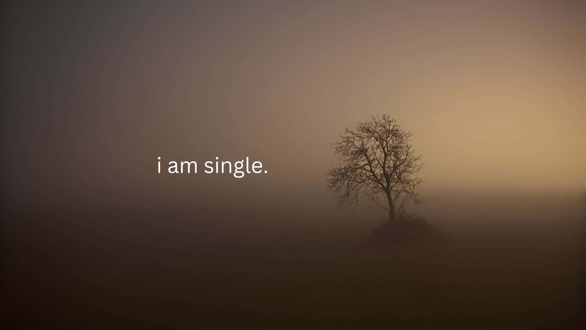 Singleist Mehr.
