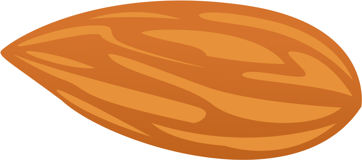 Single Almond Illustration PNG