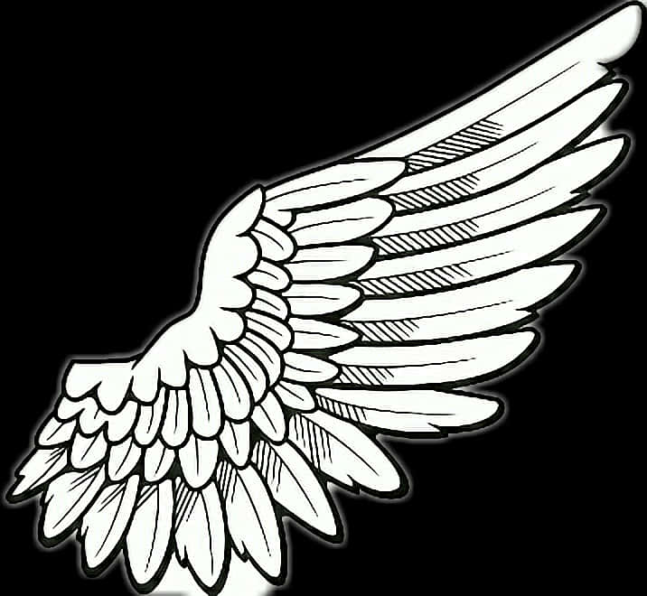 Single Angel Wing Illustration PNG