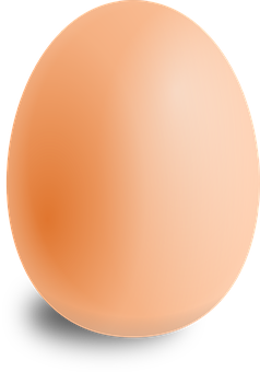 Single Brown Eggon Black Background.jpg PNG