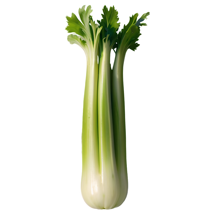 Single Celery Stalk Png 06252024 PNG