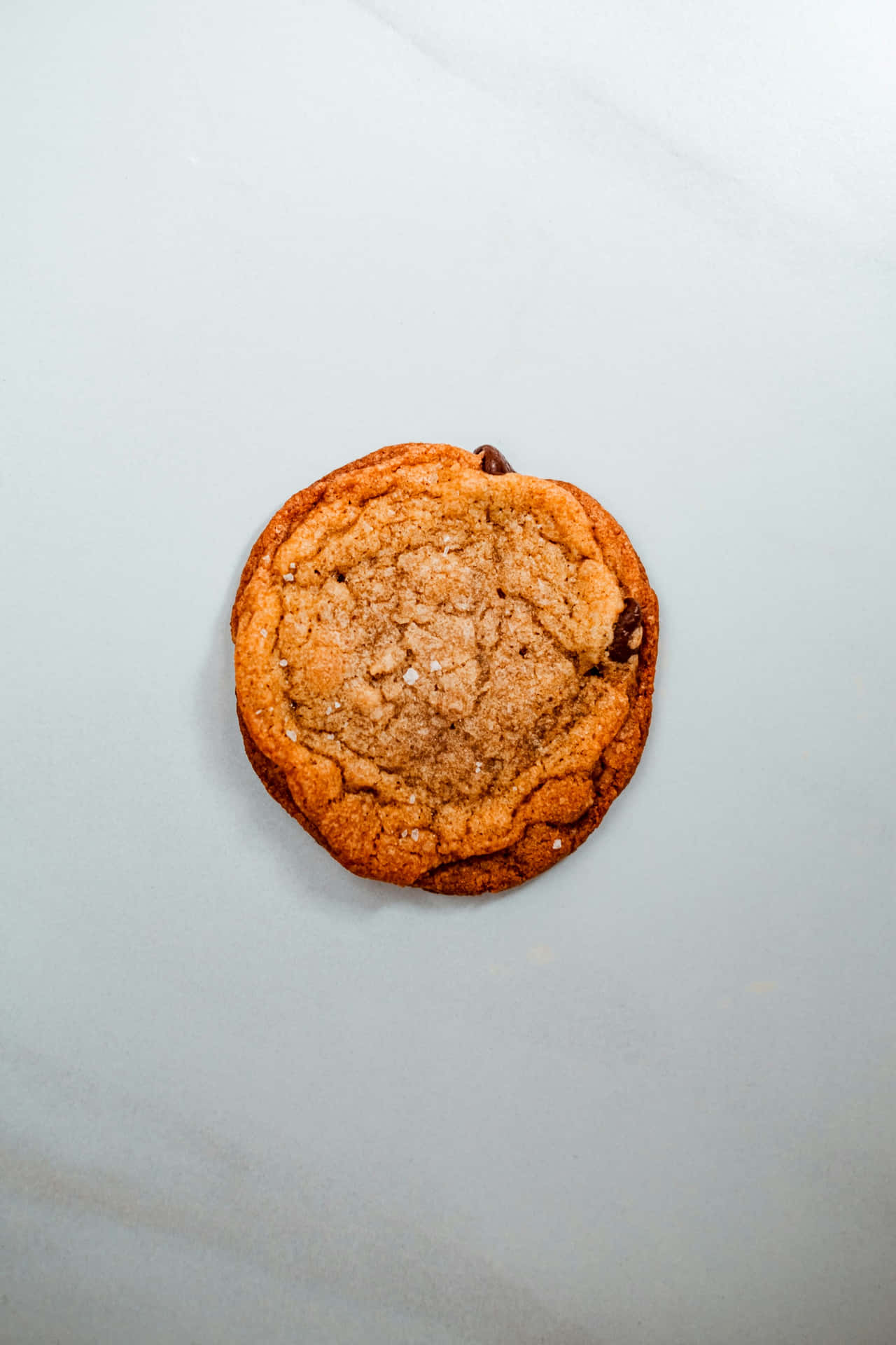 Single Chocolate Chip Cookieon Plain Background.jpg Wallpaper
