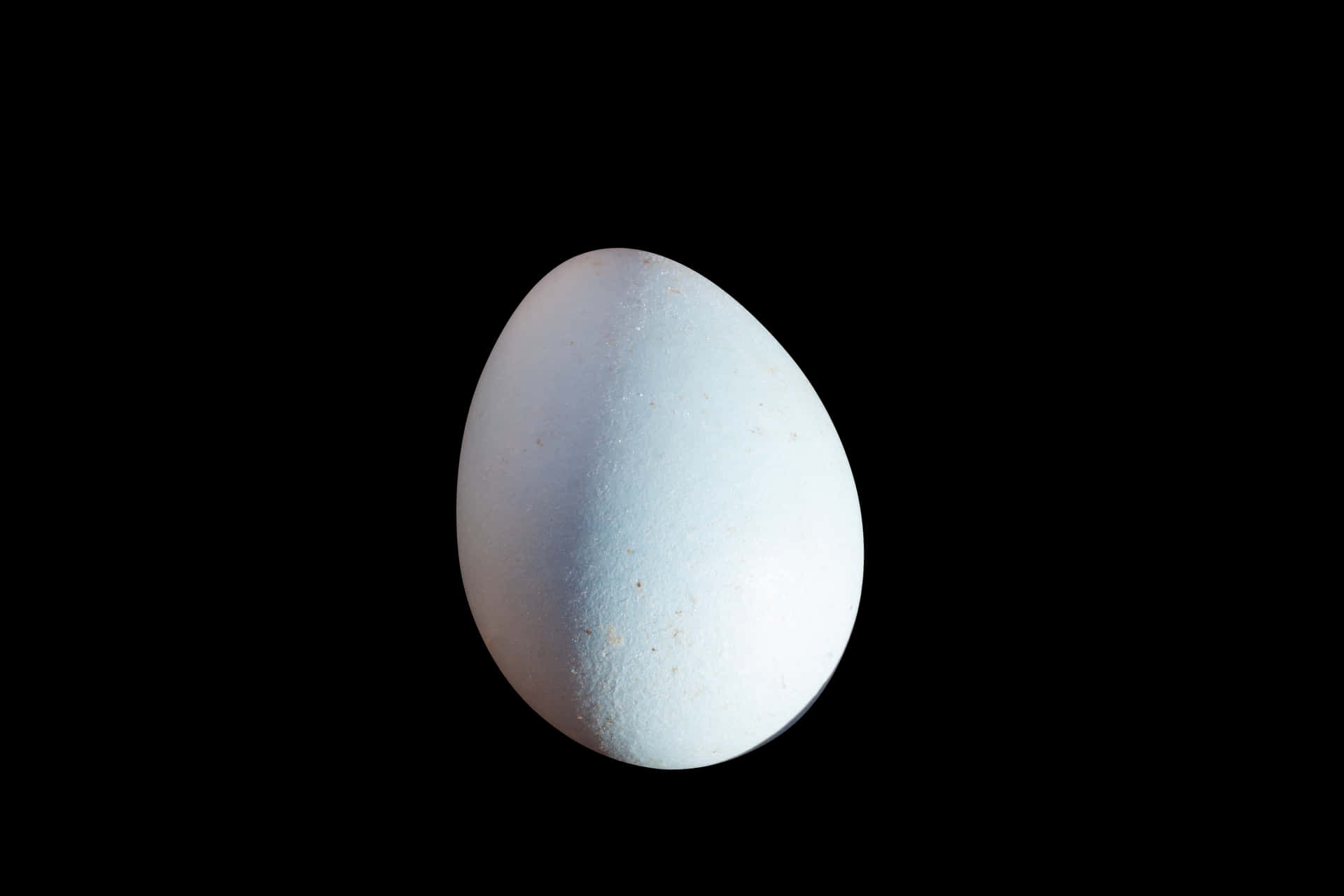 Single Egg Black Background.jpg PNG