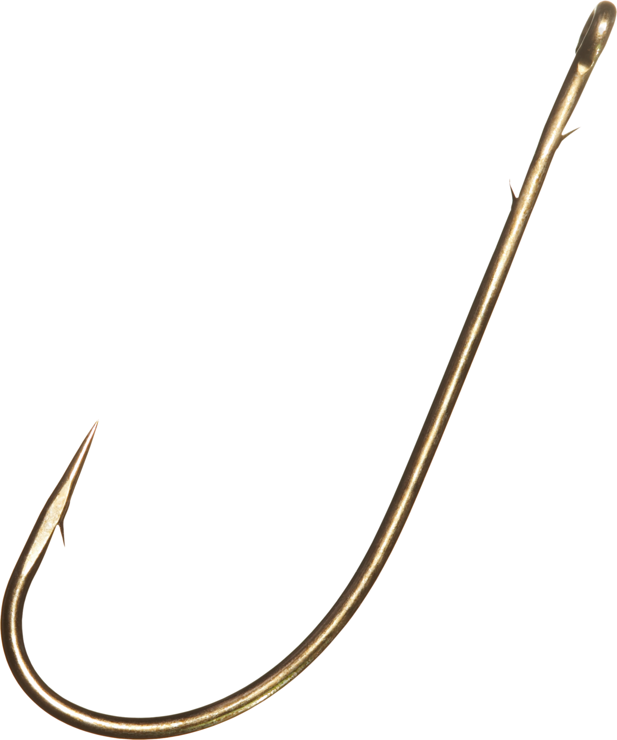 Single Fish Hook Isolated PNG