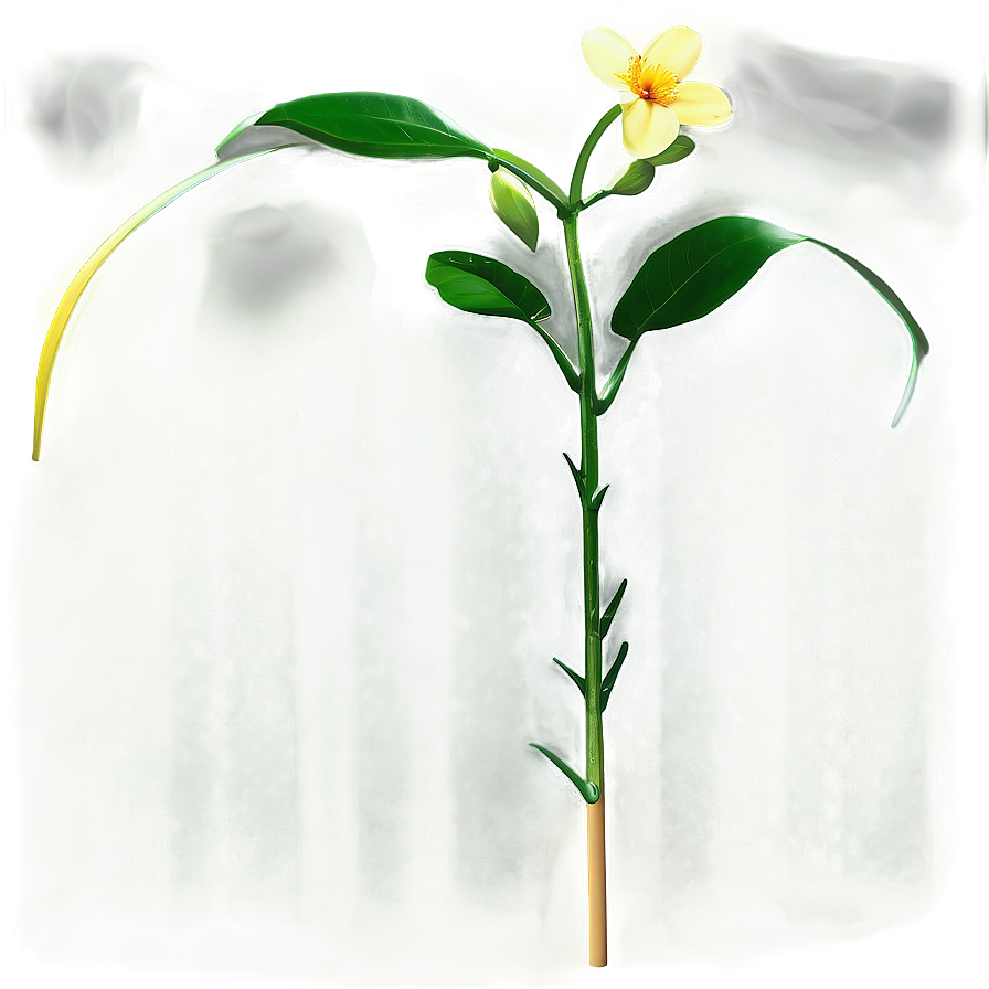 Single Flower Stem Png Eyd70 PNG