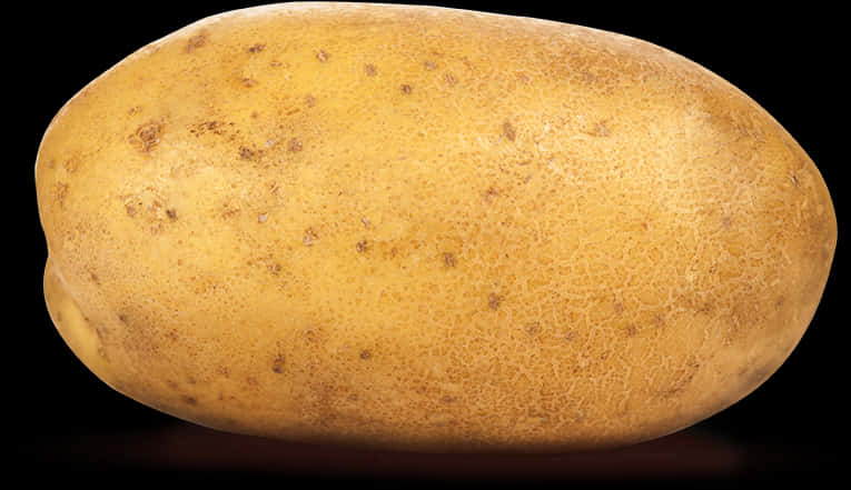 Single Fresh Potato Isolated PNG