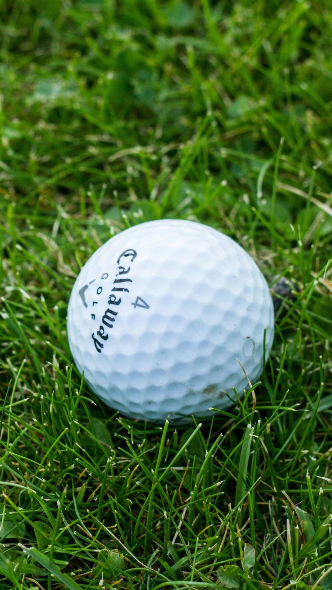 Single Golf Ball Golfing Desktop Wallpaper