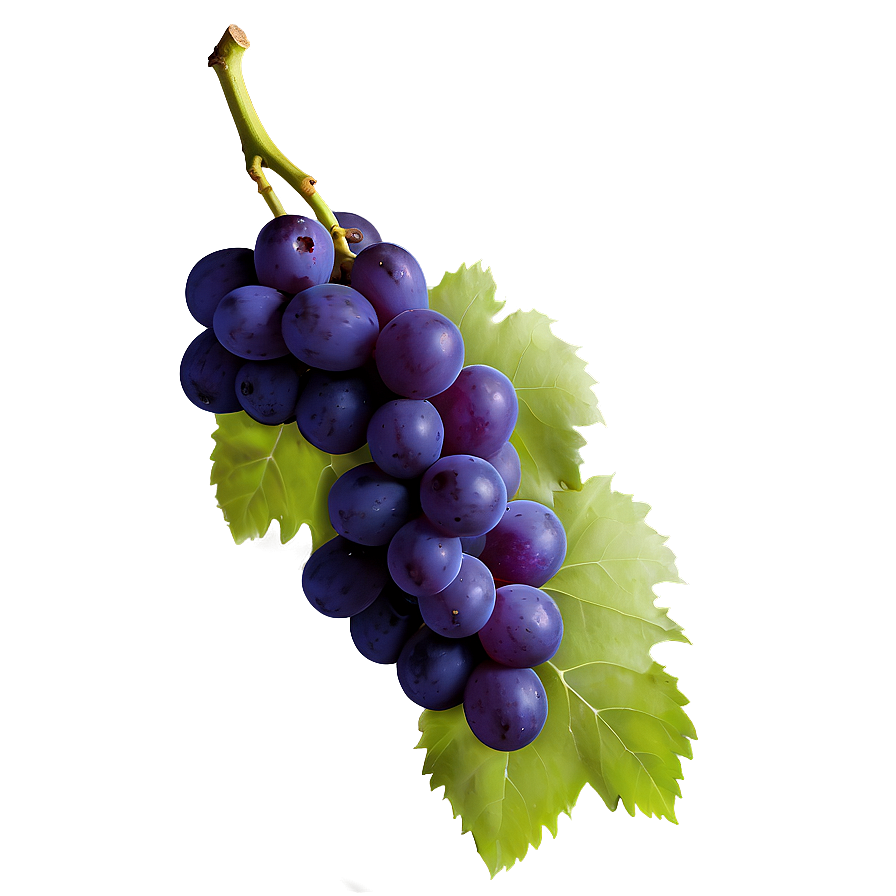 Single Grape Png Qnh PNG