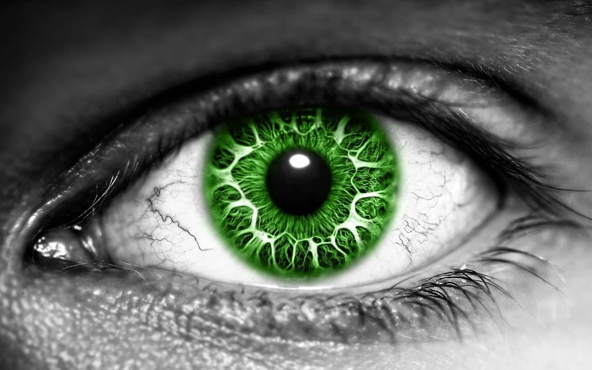 Single Green Eye Digital Art Wallpaper