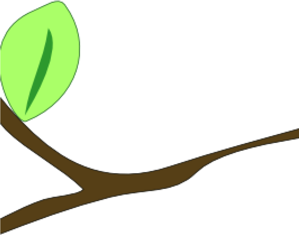 Single Leafon Branch Illustration PNG