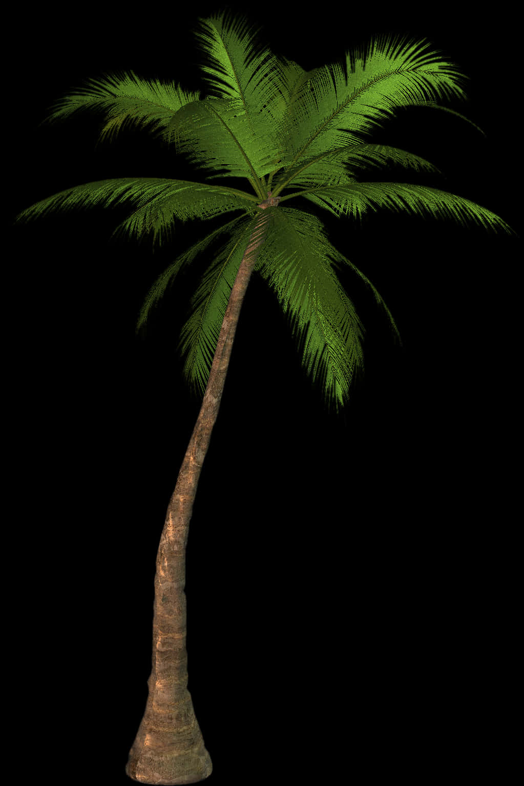 Single Palm Tree Black Background PNG