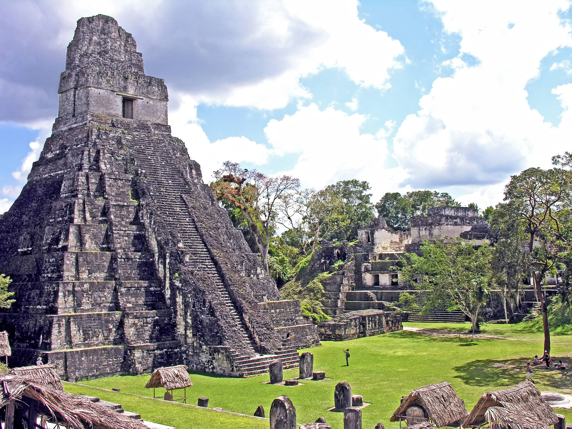 Single Pyramid Tikal Wallpaper