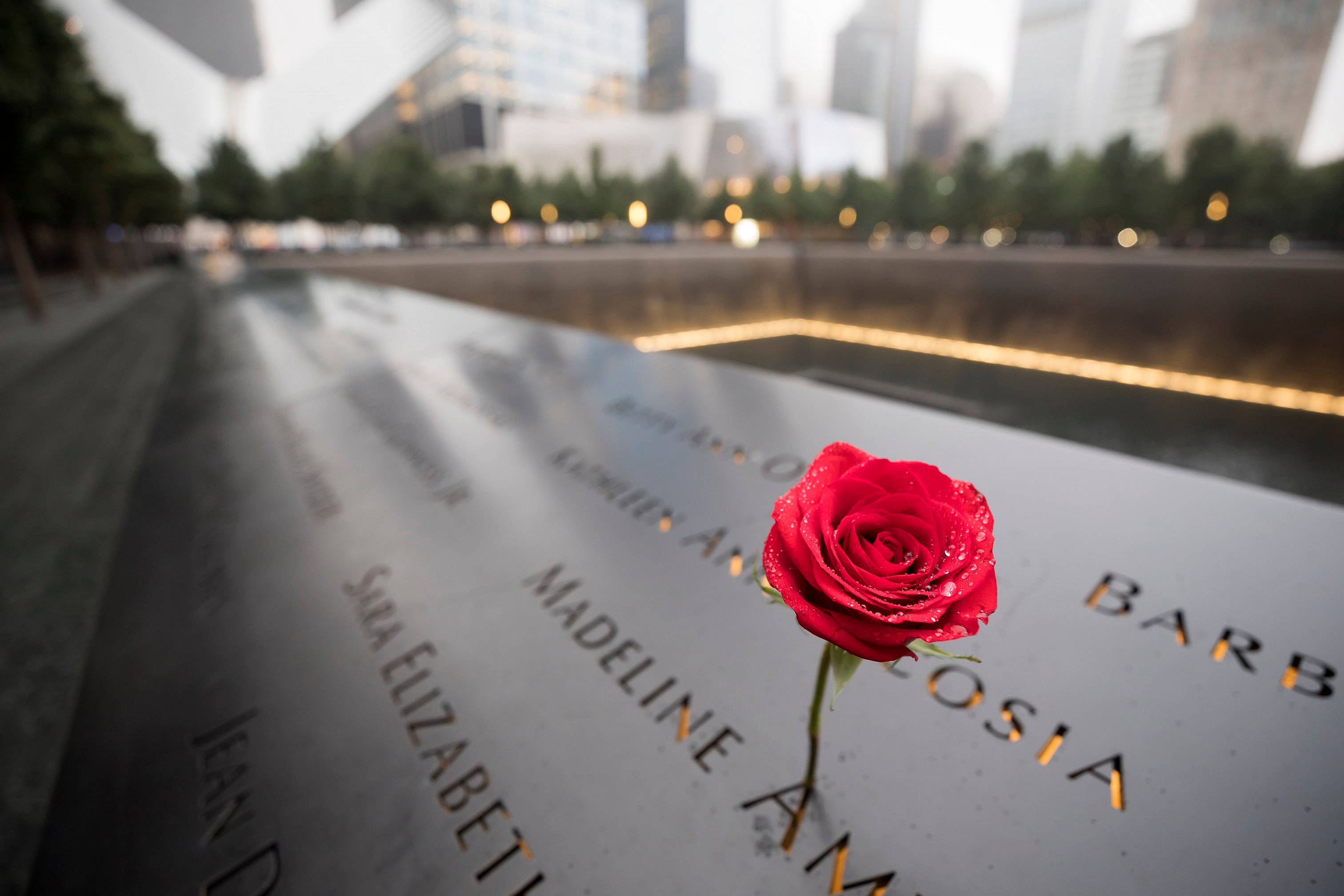 En enkelt rød rose ved 9/11 Memorial Wallpaper