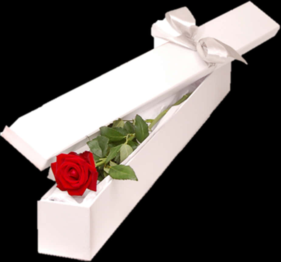 Single Red Rosein Gift Box PNG